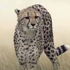 user50uxlmaytg