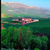 zkhaled56