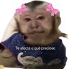 nanisag9