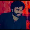 abbaslashari376