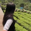 fentifajar