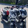 stuntpirat2