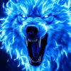 user681055159