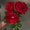 mc_n.b