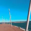 daanii_019