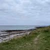 abitofelle