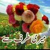 khantareen7905