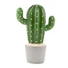 le_cactus_kipik