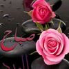 kamel.mourad