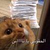 melur_701