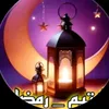 youssefwaelwael
