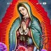 mayramireles7