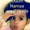 hawii.arsii.asalaa