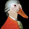 duckzart