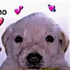 una._persona_.mas._xd