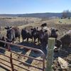 all_in_farms