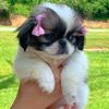 cindythepeke