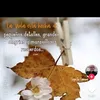 mariela84_