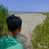 phzin_rp244