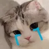 lda_38