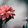 m_hud128