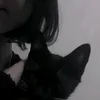 nicocat