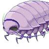 real_isopod_god