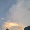 muza_wakwaw