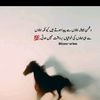bilalalib8