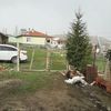 ismetguclu