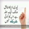 sheikhhaider4444