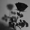 alwaysbehappy.56