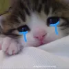 banhdayroi2302