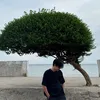 huypq02