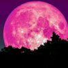 pinkmoon359