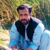 mirnasir24