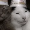 userehzqbgss2o
