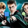 harry_potter_fan.x