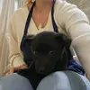 iiiiiivana