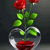 qwalialiewq