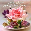 abood_er_0