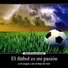 soyelxd01