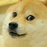 7_dogeman_7