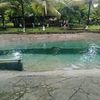 anas.trujillo