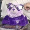 dr.pandaphd
