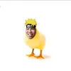plundee