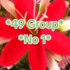 dillkashhazara49group1