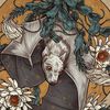 chaos_9891