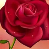 user5901183009239