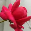 thnh.lang.thang87